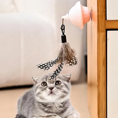 FurryFusion Jouet rétractable automatique pour chat