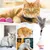 FurryFusion Jouet rétractable automatique pour chat