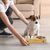 IntiMeg Lot de 2 gamelles en inox pour chien et chat
