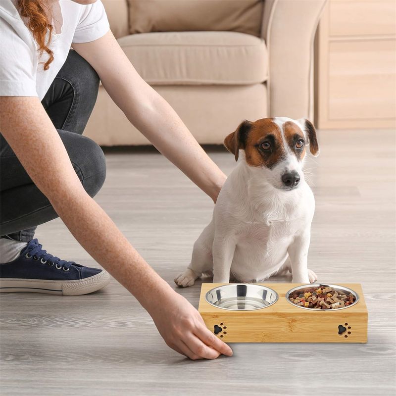 IntiMeg Lot de 2 gamelles en inox pour chien et chat