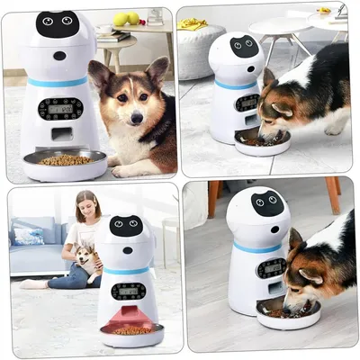 Petopia Distributeur Automatique de Nourriture pour Chat avec Minuterie