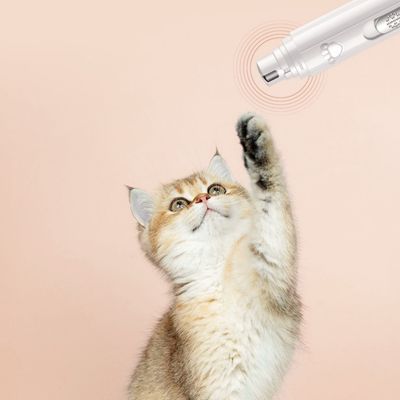 FurryFusion Lime à ongles électrique pour chien