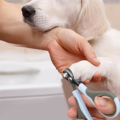 FurryFusion Tondeuse à griffes pour chien