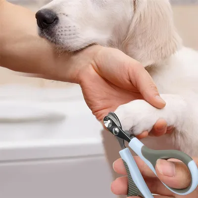 FurryFusion Tondeuse à griffes pour chien