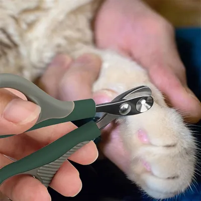 FurryFusion Tondeuse à griffes pour chien FurryFusion Tondeuse à griffes pour chien