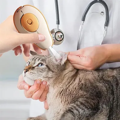 IntiMeg Coupe - ongles pour chien et chat