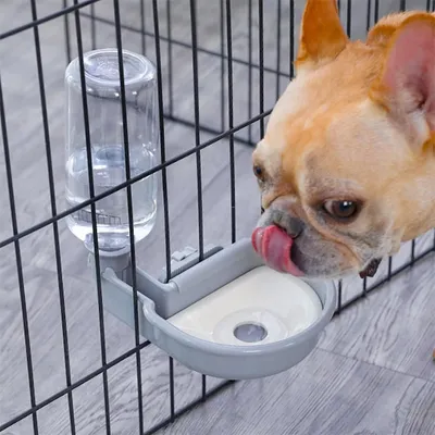 IntiMeg Distributeur d'eau pour cage de chien