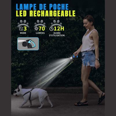 IntiMeg Laisse pour 2 Chiens