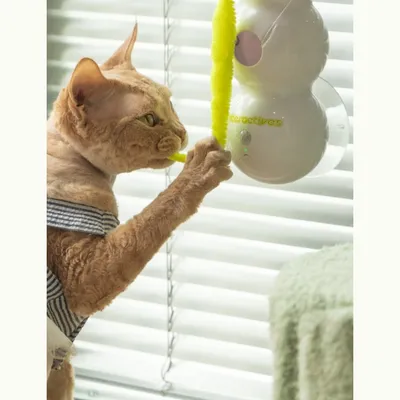 IntiMeg Caterpillar Smart Cat Touet