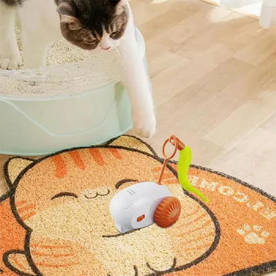 FurryFusion Jouet électrique pour chat télécommandé