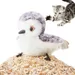 FurryFusion Jouet oiseau interactif pour chat