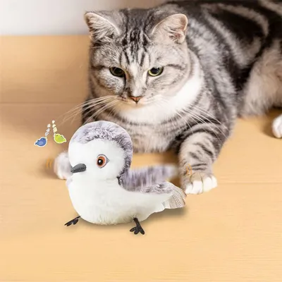 FurryFusion Jouet oiseau interactif pour chat
