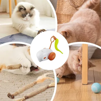 FurryFusion Jouet électrique pour chat télécommandé