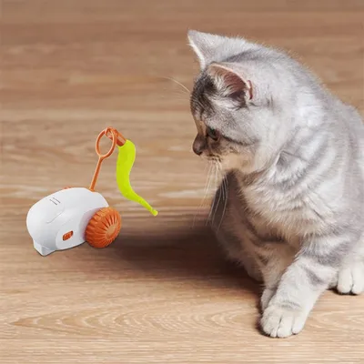 FurryFusion Jouet électrique pour chat télécommandé