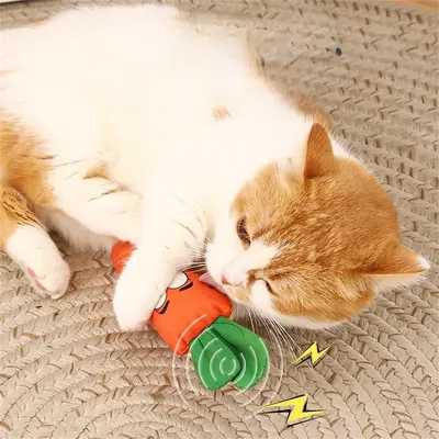 IntiMeg Jouet pour chat en forme et carotte
