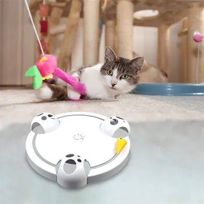 IntiMeg Circuito de juguetes para gatos