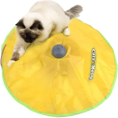 IntiMeg Jouets pour chats Circuit