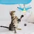 FurryFusion Jouet Oiseau interactif et rechargeable pour chat
