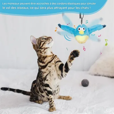 FurryFusion Jouet Oiseau interactif et rechargeable pour chat