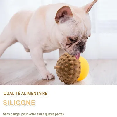 FurryFusion Jouet & Distributeur de friandises et croquettes