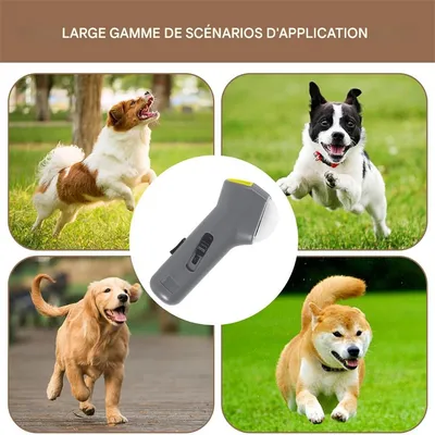 IntiMeg Jouets interactifs pour chiens