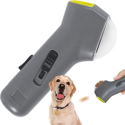 IntiMeg Jouets interactifs pour chiens