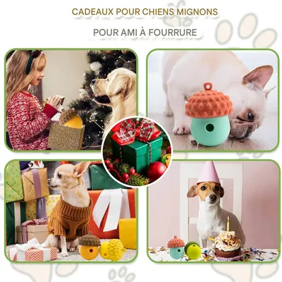 FurryFusion Jouet & Distributeur de friandises et croquettes