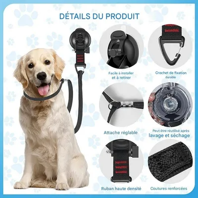 FurryFusion Soporte de baño para perros PetPlanet