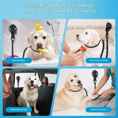 PetPlanet Support de bain pour chien
