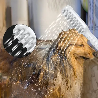 PetPlanet Kit de douche pour chien