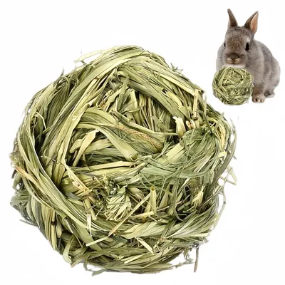 FurryFusion Jouet boule d'herbe pour petits animaux