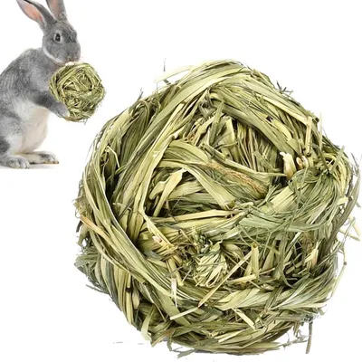 FurryFusion Jouet boule d'herbe pour petits animaux