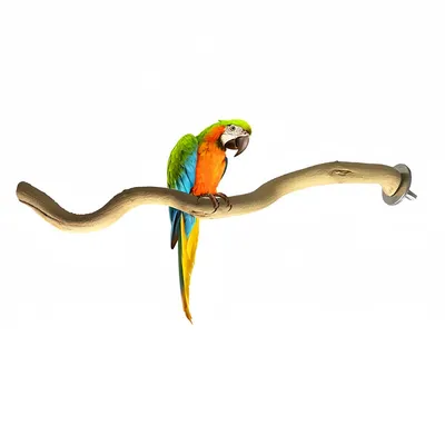 FurryFusion Perchoir en bois pour perroquet