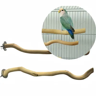 FurryFusion Perchoir en bois pour perroquet