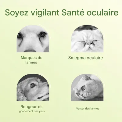 PetPlanet Lingettes de nettoyage des yeux pour animaux de compagnie