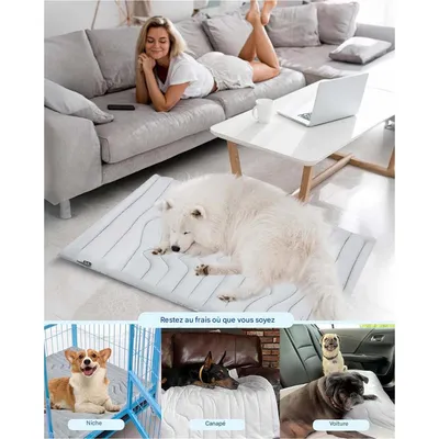 Petopia Tapis Rafraîchissant pour Chien/Chat