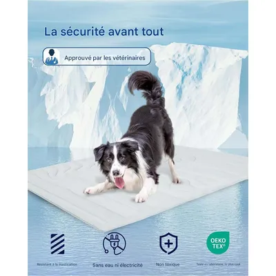 Petopia Tapis Rafraîchissant pour Chien/Chat