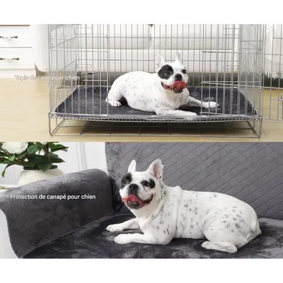 Petopia Alèse Lavable pour Chien Petopia Alèse Lavable pour Chien