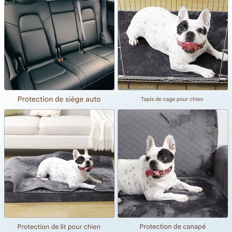 Petopia Alèse Lavable pour Chien