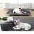 Petopia Alèse Lavable pour Chien