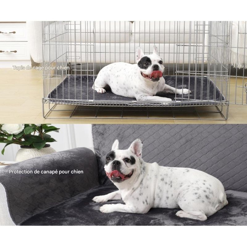 Petopia Alèse Lavable pour Chien