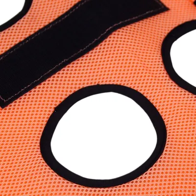 PetPlanet Hamac de toilettage pour chats