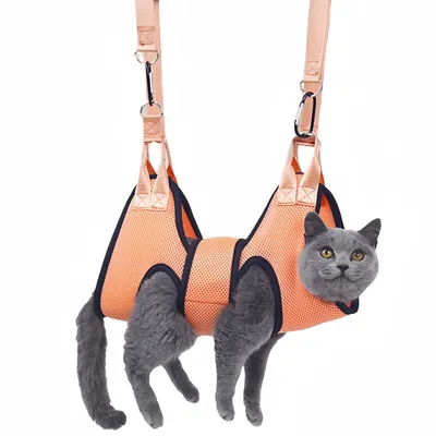 PetPlanet Hamac de toilettage pour chats