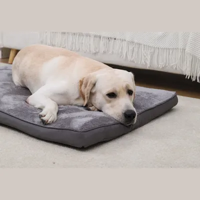 Petopia Coussin pour chien Polaire Anti-Griffes