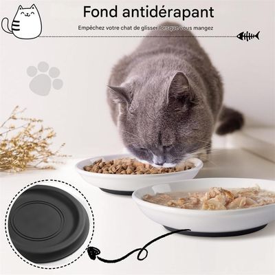 IntiMeg cuencos de cerámica para gatos
