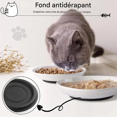 IntiMeg cuencos de cerámica para gatos
