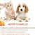 FurryFusion Spray réparateur d'articulations pour animaux de compagnie