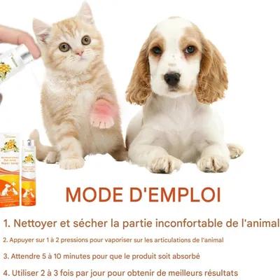 FurryFusion Spray réparateur d'articulations pour animaux de compagnie