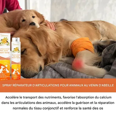 FurryFusion Spray réparateur d'articulations pour animaux de compagnie