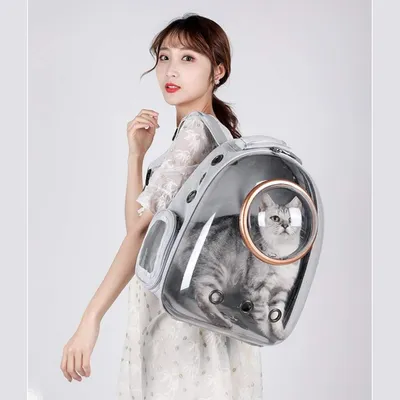 Petopia Sac à dos Sightseeing pour chien et chat